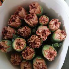 Fresh Cut Berry From China China Fresh Flower Supplier thumbnail-3