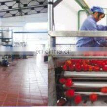 Industrial Tomato Sauce Making Machine Production Line thumbnail-3
