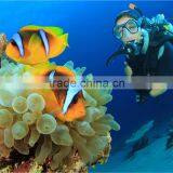 2016 New and Advanced Swim Mask, and Swim Goggle, Swim Snork thumbnail-6