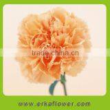 Reasonable Price Hot Sale Fresh Cut Orchids and Carnation thumbnail-5
