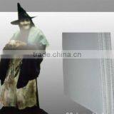 Best Quality PP Hollow Sheet for Yard Sign