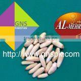 Fine Quality Pine Nuts Kernels - Pakistan Origin thumbnail-1