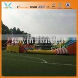 Professional China Water Park Project