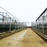 Large Span Glass Multi-span Greenhouse thumbnail-2