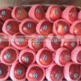 Apple Price thumbnail-1