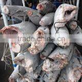 SEAFROZEN BLACK MARLIN DWT thumbnail-6