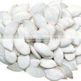Fresh Best Cheaper Snow White Pumpkin Seed Suppliers thumbnail-1