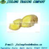 Fresh Ginger Price Variety Wholesale Stores thumbnail-1