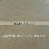Radiata Pine Plywood for Packing thumbnail-1