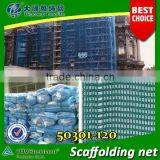 (20 Years Shanghai Factory)scaffolding Net , Building Net_green