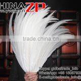 Top Supplier CHINAZP Bulk Sale Good Quality Wonderful Bleached White Long Silver Pheasant Tail Feathers Right thumbnail-4