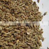 Ajwain Seed thumbnail-3