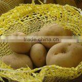 Fresh New Potato Crop thumbnail-1
