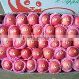 Yantai Fresh Red Fuji Apple