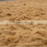 Coconut Fibre and Coir Product thumbnail-1