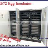 Large Capacity Used Poultry Incubator for Sale WQ-12672 Best Selling China Incubator