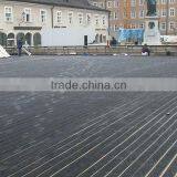 Mobile EPDM Cooling Mat 2012 for Ice Rink,
