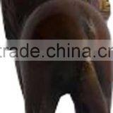 Bronze Lion Statue thumbnail-2