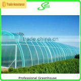 high quality film blue greenhouse for sale