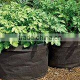 Greenhouse Or Garden Quality Fabric Plant Pot thumbnail-1