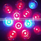 12w Advanced Spectrum Led Grow Light,MAX DUAL BAND 1w-Chip LED Grow Bulb,led Grow Light for Flower Crops thumbnail-5