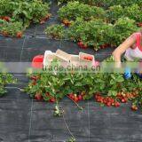 Heavy Duty Plastic Weed Barrier Fabric thumbnail-2