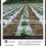 Agriculture Used Non-woven A Large Number of Exports the United States thumbnail-4