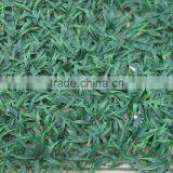 SJ040830 High Quality PE Milan Grass Mat/fake Boxwood Carpet Grass/spring Grass thumbnail-5