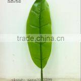 Monstera Leaves,dried Banana Leaf ,foliage Tree Leaves Decoration thumbnail-2