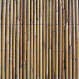 White Fern Fence With Galvanized Wire