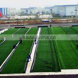 Fake Turf Grass China Factory Durable and Curl Stem Yarn Artificial Turf thumbnail-3