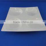 Divided Dinner Plates thumbnail-2