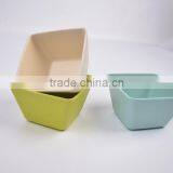 Bamboo Fiber Bowl thumbnail-5
