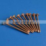 Large Head Copper Nails thumbnail-1