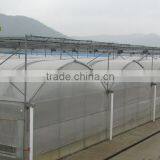 2017 Good Quality Hydroponic Tomato Greenhouse thumbnail-2