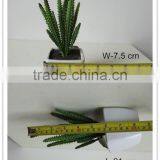 Artificial Mini Succulent Bonsai Potted Succulent Small Potted Plant thumbnail-2