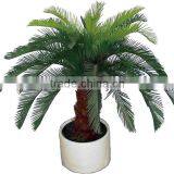 Artificial Mini Palm Trees and Palm Tree Landscaping thumbnail-6