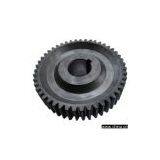 Spur Gear thumbnail-1