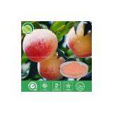 Peach Powder thumbnail-1