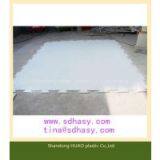 Shandong Huao Inflatable UHMWPE Plastic Ice Skating Board/plastic Backyard Hockey Shotting Pad From China Factory/plastic Pad thumbnail-2