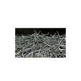 Common Coil Nails thumbnail-1