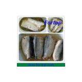 New Crop Canned Sardine Fish in Oil/in Brine/in Tomato Sauce