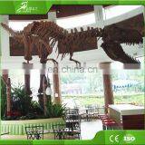China KAWAH Factory Best Price Large Lifesize Realistic Dinosaur Fossils for Exhibition thumbnail-3