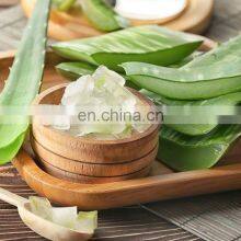 Aloe Vera Jelly Dice/ Best Offer Aloe Vera Dice From Vietnam thumbnail-2