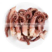 Frozen Squid Tentacles Frozen Giant Squid Tentacles Leg Ballerina Cut Dosidicus Gigas