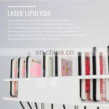 Cryo 360 Machine Price/fat Removal Machine Body Slimming Machine Fat Freezing With Laser Pads thumbnail-5