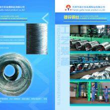 Galvanized Steel wire