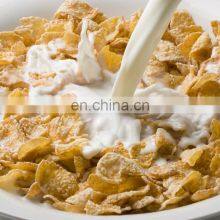 Automatic Industrial Breakfast Cereal Corn Flakes Making Machinery thumbnail-5