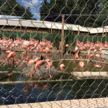 Hochfester Edelstahlseilgitter und Drahtnetz für Vogelnester und Zoogitter thumbnail-2