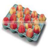 Pulp Egg Tray Making Machine Small Egg Tray Machine thumbnail-5